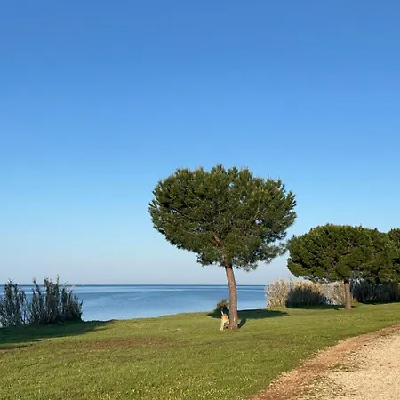 Villa Karigador, Umag- Karigador, Istria