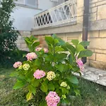 Karigador, Umag- Karigador, Istria Villa *