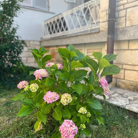 Karigador, Umag- Karigador, Istria Villa *